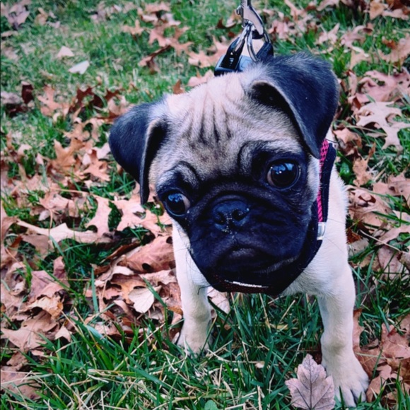 β’ meet the assistants β’ - Picture 5 of 15